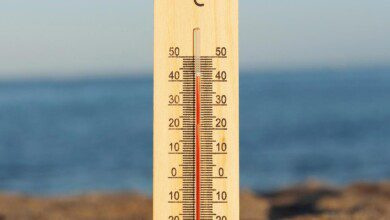 February in Bulgaria